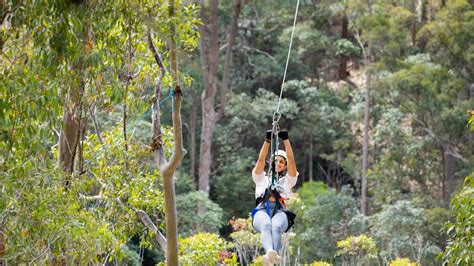 longest zipline in australia|The Largest Ziplines in Australia .